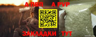 стаф Партизанск