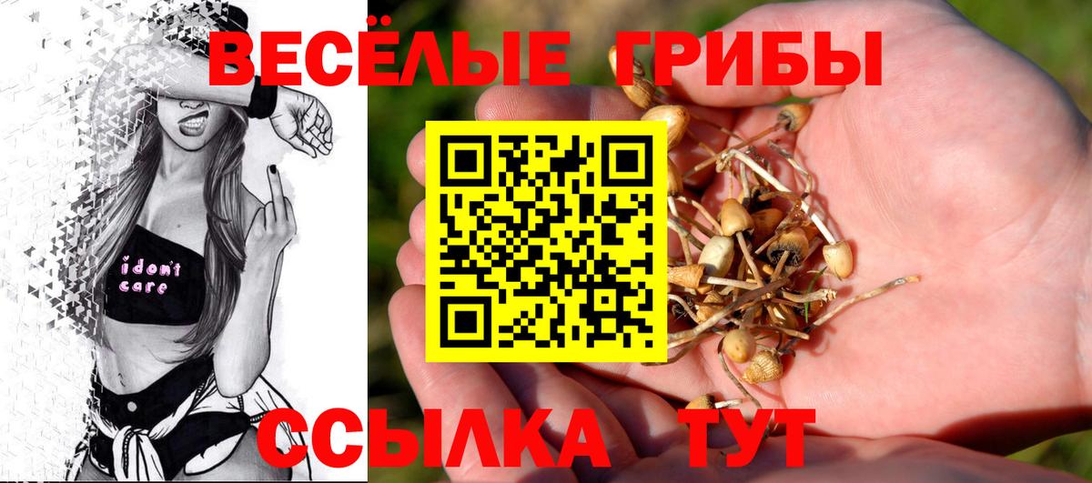 наркотики  Вход с VPN  Белогорск  Псилоцибиновые грибы Psilocybine cubensis 